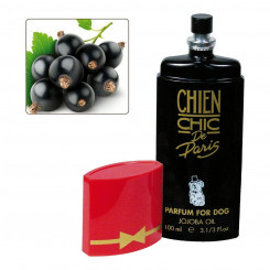 Parfüüm lemmikloomadele Chien Chic Dog Red currant (100 ml)