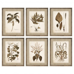 Картина DKD Home Decor Flowers Modern (55 x 2,5 x 70 см) (6 шт.)