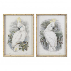 Painting DKD Home Decor Colonial Parrot (50 x 2,8 x 70 cm) (2 Units)