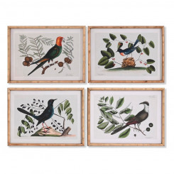 Painting DKD Home Decor Crystal Birds 65 x 16,5 x 50,2 cm (4 Pieces)