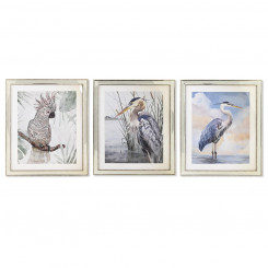 Painting DKD Home Decor 40 x 1,6 x 60 cm Birds Mediterranean (3 Pieces)