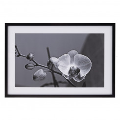 Canvas Orchid 65 x 2 x 95 cm Flower