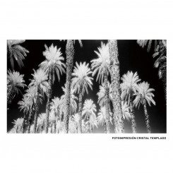 Lõuend Palmid 120 x 4 x 70 cm Palmipuu