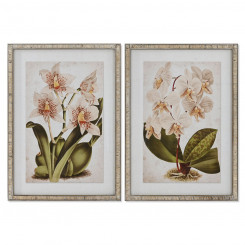 Painting Home ESPRIT Tropical Orchid 50 x 2.5 x 70 cm (2 Units)