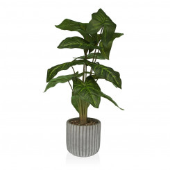 Декоративное растение Versa 15 x 53 x 15 см Цемент Пластик