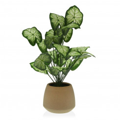 Decorative Plant Versa 15 x 52 x 15 cm Cement Plastic