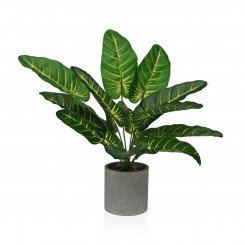 Decorative Plant Versa 15 x 43 x 15 cm Paper Plastic