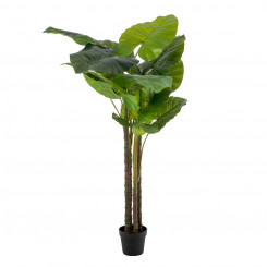 Decorative Plant 75 x 60 x 155 cm Green Philodendron