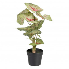 Декоративное растение Красный Зеленый ПВХ 40 x 35 x 55 см