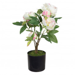 Decorative Plant 36 x 30 x 44 cm Cream Peony