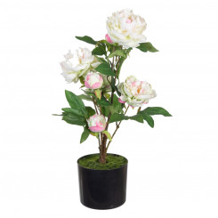 Decorative Plant 34 x 30 x 59 cm Cream Peony