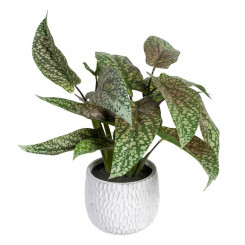 Decorative Plant Green PVC 52 x 44 x 44 cm