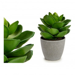 Декоративное растение Серый Зеленый Пластик (16 x 20 x 16 см)