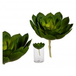 Decorative Plant Plastic