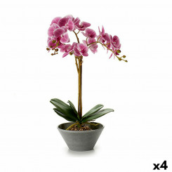 Decorative Plant Orchid 16 x 48 x 28 cm Plastic (4 Units)