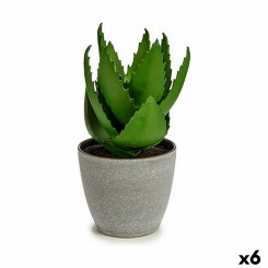 Декоративное растение Алоэ Вера 15 x 23,5 x 15 см Серый Зеленый Пластик (6 шт.)