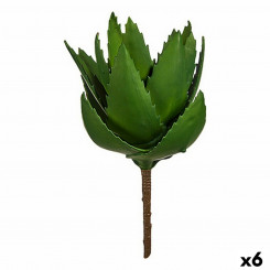 Декоративное растение Алоэ Вера 13 x 24,5 x 14 см Зеленый пластик (6 шт.)