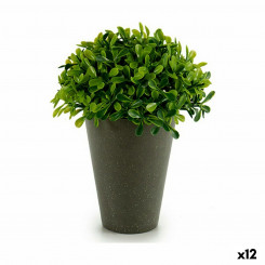 Dekoratiivne taimeplastik 13 x 16 x 13 cm roheline hall (12 ühikut)