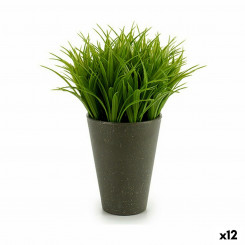 Декоративное растение Пластик 11 x 18 x 11 см Зеленый Серый (12 шт.)