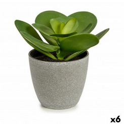 Decorative Plant 18 x 18,5 x 18 cm Grey Green Plastic (6 Units)