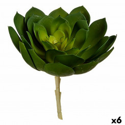 Decorative Plant 22 x 19 x 19 cm Green Plastic (6 Units)