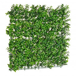 Dekoratiivtaim, roheline plastik (50 x 5 x 50 cm)