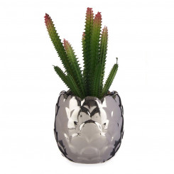 Dekoratiivtaim hõbedane kaktus keraamiline plastik (8 x 20 x 8 cm)