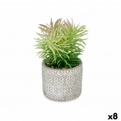 Decorative Plant Succulent Wood Plastic 12 x 22 x 12 cm (8 Units)