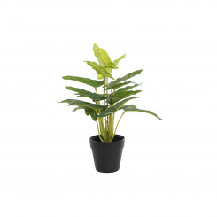 Декоративное растение DKD Home Decor Черный Зеленый ПВХ полипропилен 25 x 25 x 30 см