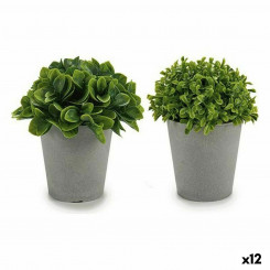 Decorative Plant Grey Green Plastic (13 x 17 x 13 cm) (12 Units)