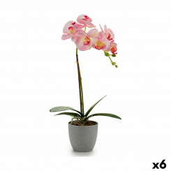 Декоративное растение Орхидея Пластик 13 x 39 x 22 см (6 шт.)