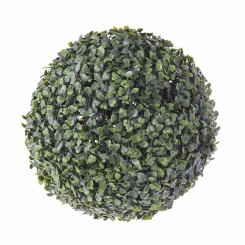 Декоративное растение Boj Ball Пластик 30 x 30 x 30 см