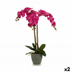 Декоративное растение Орхидея Пластик 60 x 78 x 44 см (2 шт.)