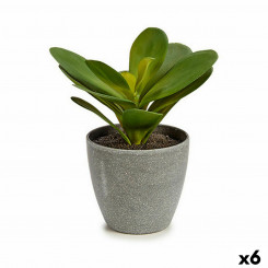 Dekoratiivsed taimelehed, ümmargune plastik, 11 x 15 x 11 cm (6 ühikut)
