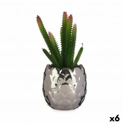 Декоративное растение Кактус Керамика Пластик 10 x 20 x 10 см (6 шт.)