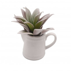 Decorative Plant Versa Ceramic Plastic 11,43 x 11,94 x 11,43 cm