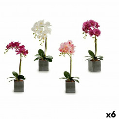 Декоративный цветок Орхидея Пластик 14 x 51 x 18 см (6 шт.)