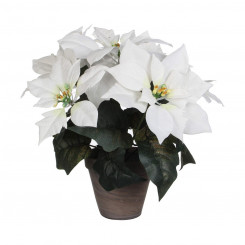 Декоративное растение Белый ПВХ (27 X 35 CM)