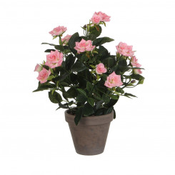 Dekoratiivne taim Vilgukivi kaunistused Rosal Keraamiline PVC