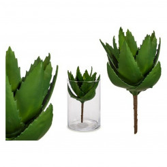 Декоративное растение 8430852770363 Зеленый пластик