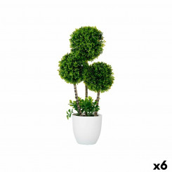 Декоративное растение Кула Пластиковая масса 19 х 46 х 14 см (6 шт.)
