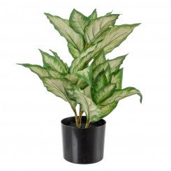 Декоративное растение полиэтилен PEVA Dieffenbachia 42 x 42 x 52 см