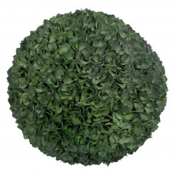 Декоративное растение Зеленый ПВХ 37 x 37 см