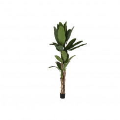 Декоративное растение для дома ESPRIT Полиэтиленовое цементное банановое растение 90 x 90 x 290 см