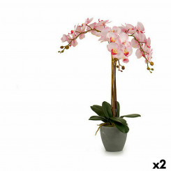Dekoratiivne Taim Orhidee Plastmass 29 x 78 x 35 cm (2 Ühikut)
