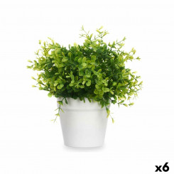 Decorative Plant Plastic Small (6 Units)