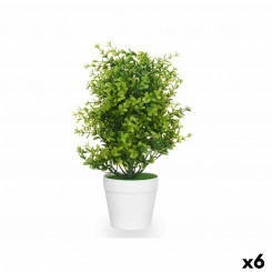 Decorative Plant Plastic Large (6 Units)