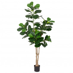 Декоративное растение Полиуретан Цемент Фиговое дерево 175 см