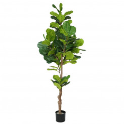 Декоративное растение Полиуретан Цемент Фиговое дерево 200 см