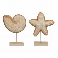 Decorative figure Mica Decorations Light brown Box Starfish 24 x 17 x 17 cm